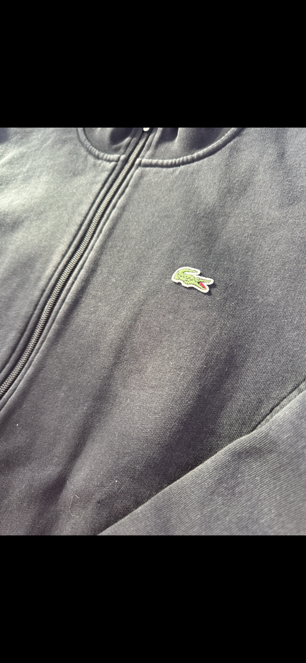 Lacoste Sweater (L)