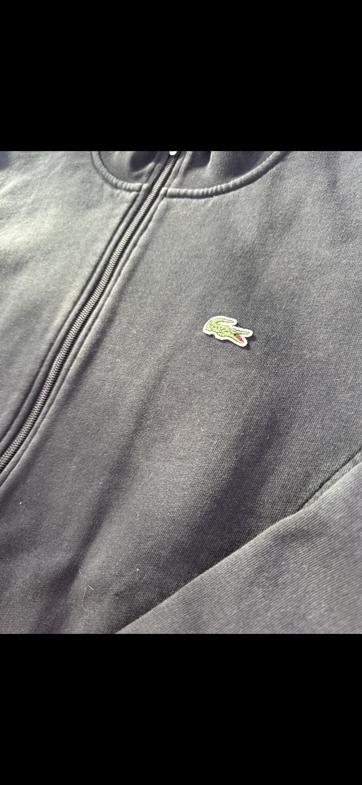 Lacoste Sweater (L)